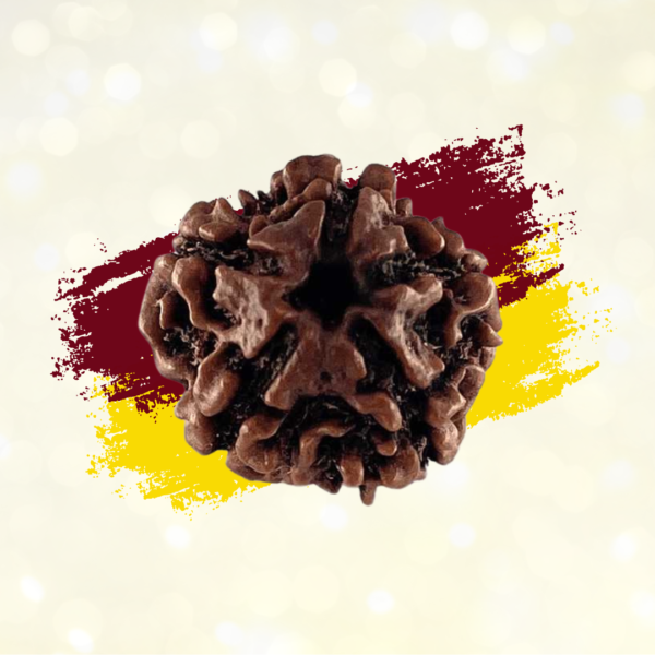 5 Mukhi Rudraksha