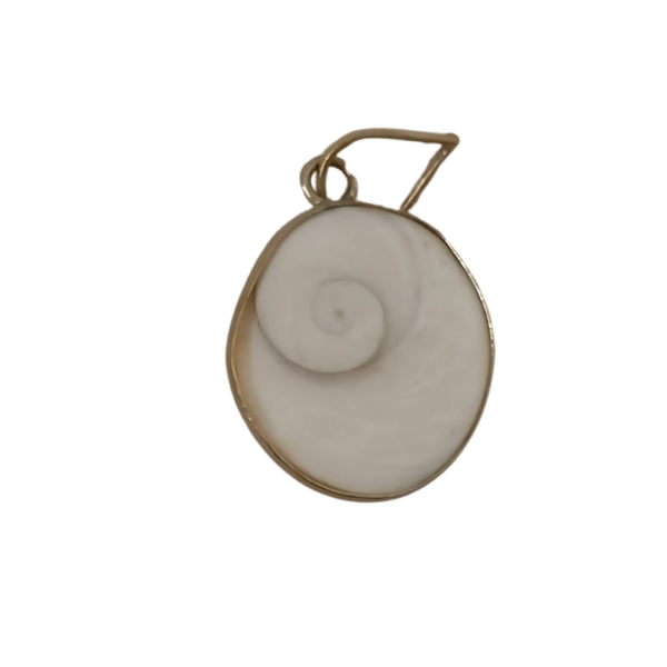 Combo of Gomtichakra Locket, Adjustable Kauri and 7 Mukhi Lab Certified Bracelet - Image 4