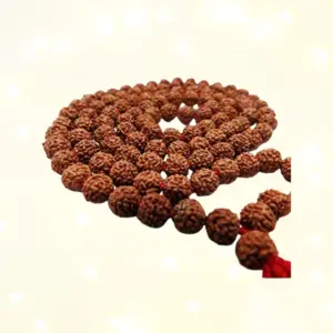 5 Mukhi Rudraksha mala