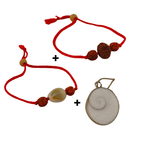Combo of Gomtichakra Locket, Adjustable Kauri and 7 Mukhi Lab Certified Bracelet