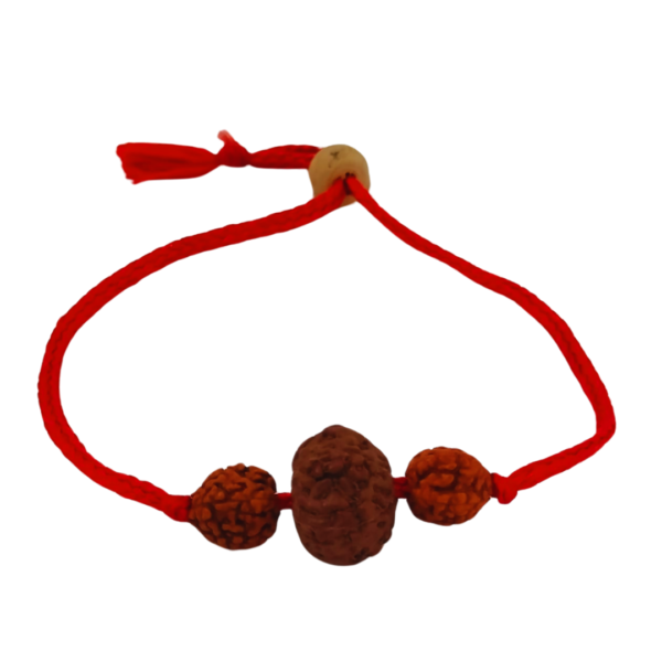 Adjustable 7 Mukhi Rudraksha Bracelet